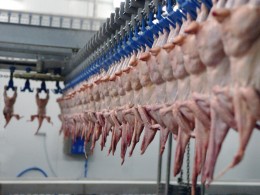 Российские потребители и посетители ресторанов пострадают от гастрономических санкций Путина